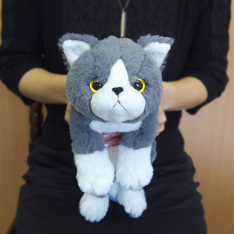 ひざねこ ぬいぐるみ(S) エキゾチックGY - サンレモン