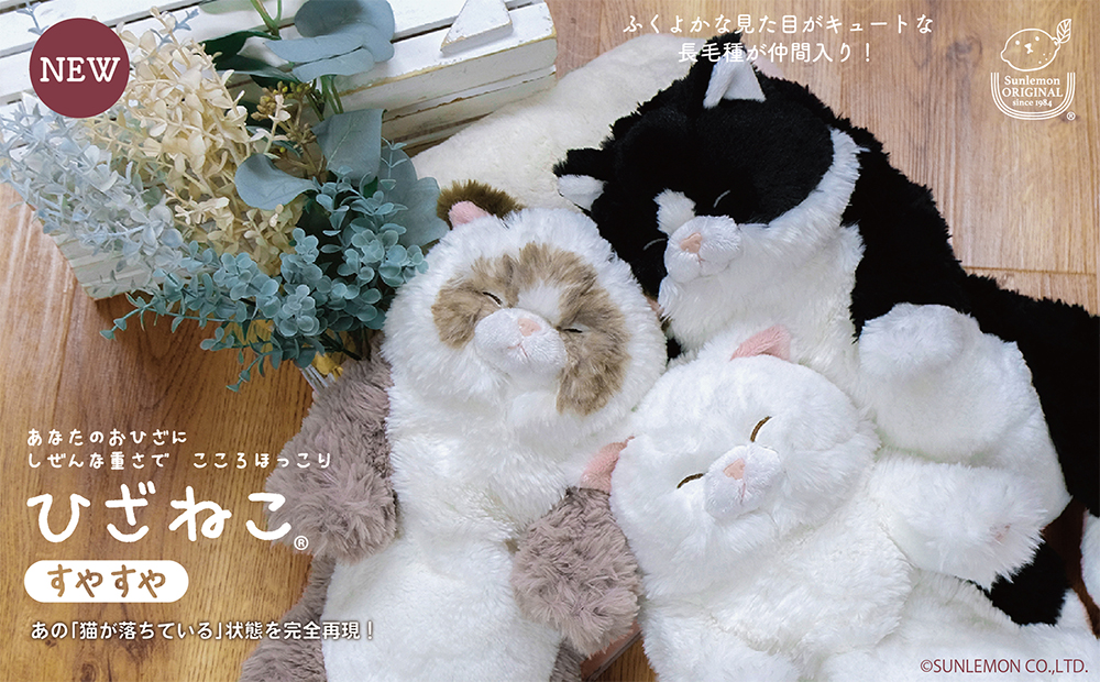 HP_mv