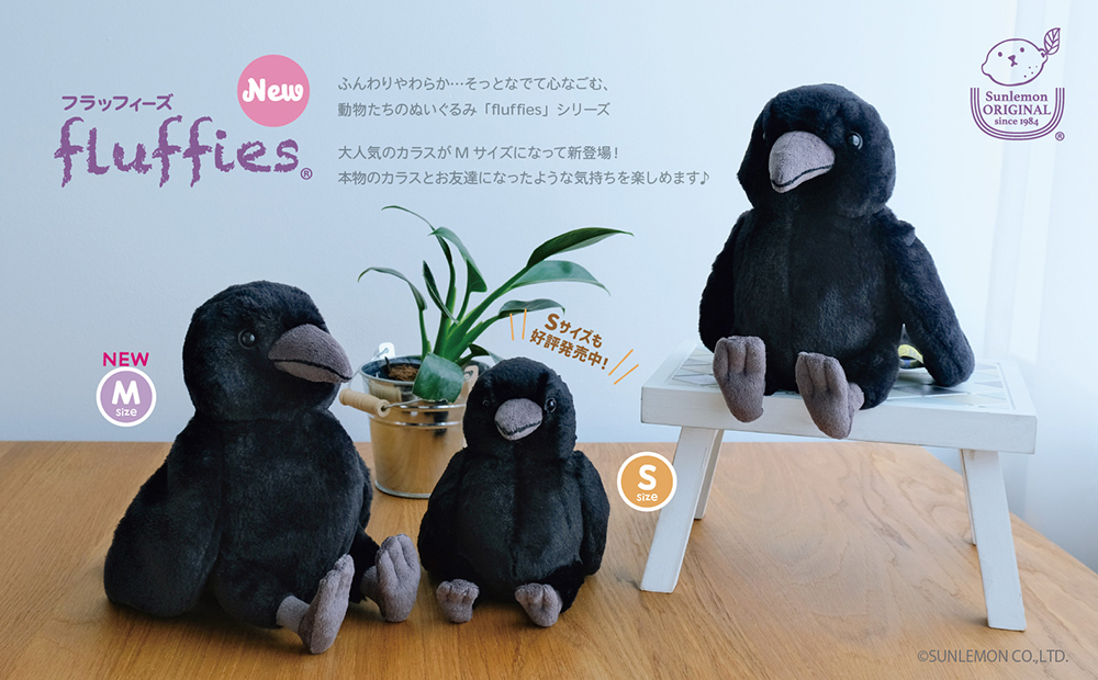 MV_告知