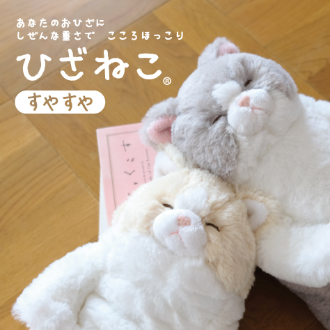 ひざねこすやすや